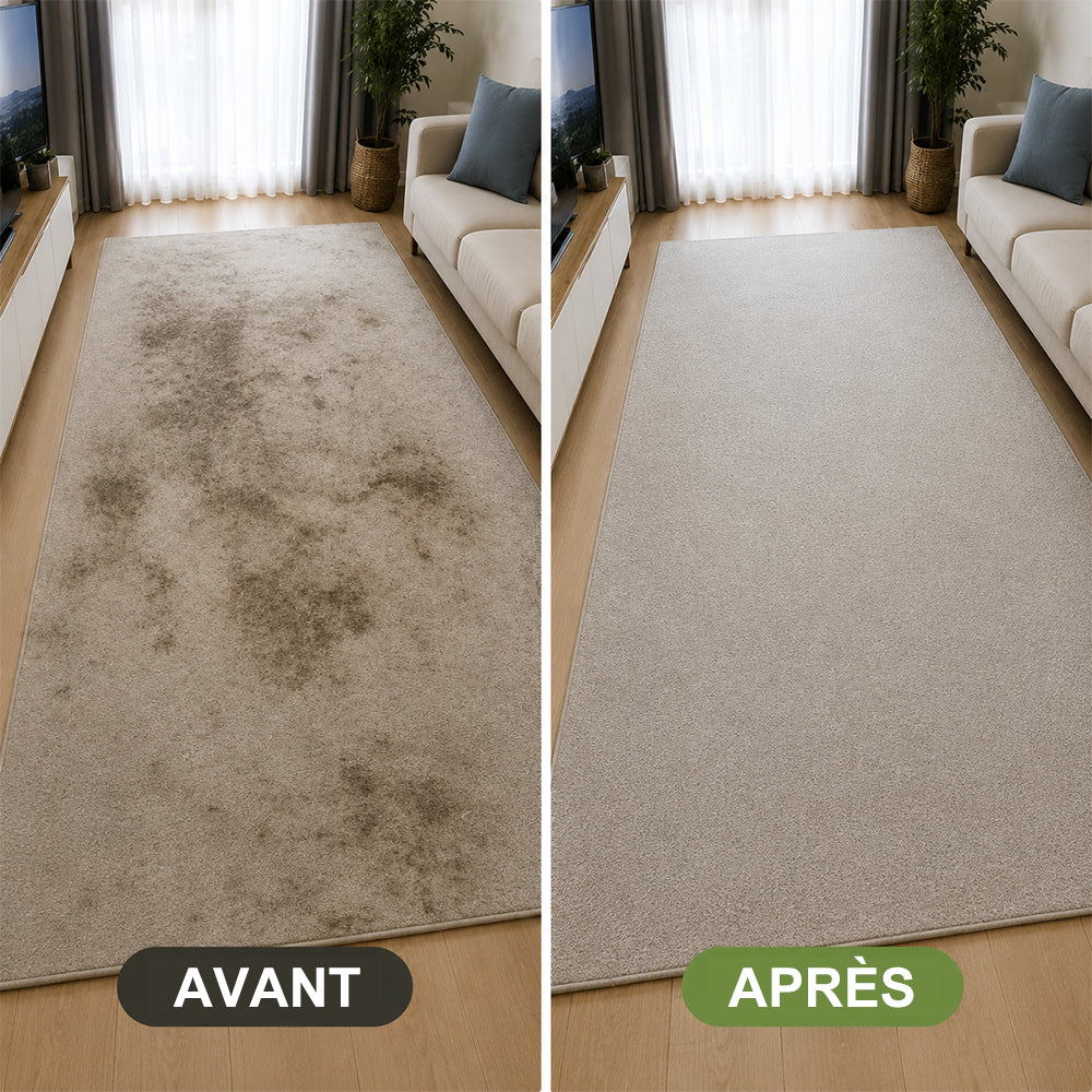 🔥−60 % AUJOURD’HUI💯 Mousse détachante sans eau pour tapis avec chiffon