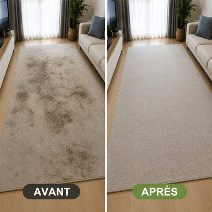 🔥−60 % AUJOURD’HUI💯 Mousse détachante sans eau pour tapis avec chiffon