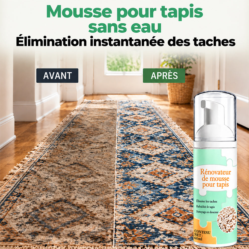 🔥−60 % AUJOURD’HUI💯 Mousse détachante sans eau pour tapis avec chiffon