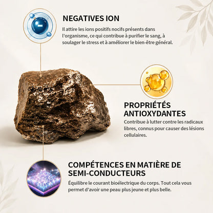 (VENTE SPÉCIALE – DERNIER JOUR : -80 % 🔥)  Bracelet Porte-Bonheur Trèfle à Quatre Feuilles– Vitalité lymphatique et thérapie magnétique