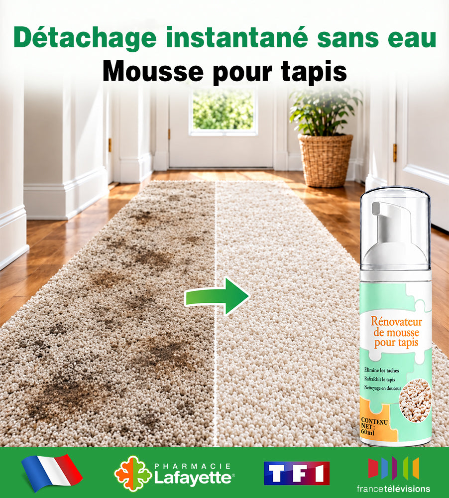 🔥−60 % AUJOURD’HUI💯 Mousse détachante sans eau pour tapis avec chiffon
