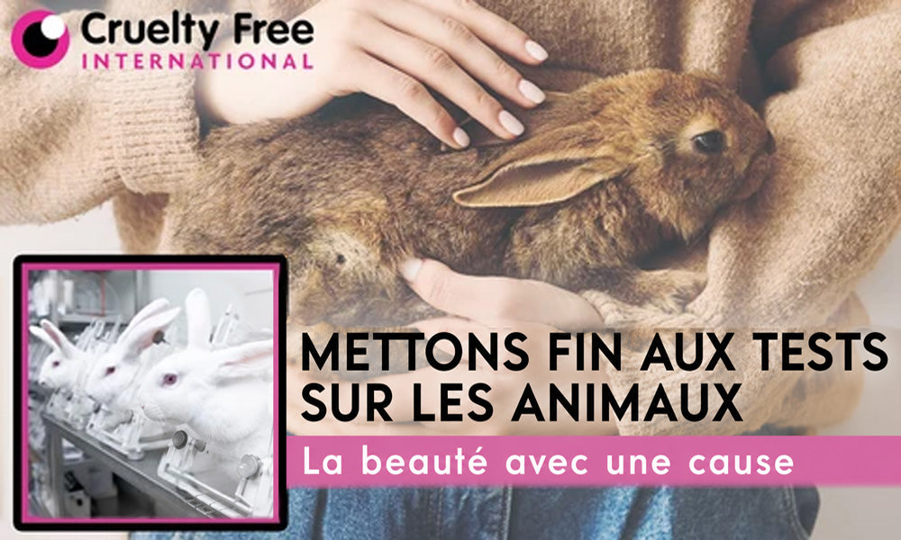 (VENTE SPÉCIALE – DERNIER JOUR : -80 % 🔥)  Bracelet Porte-Bonheur Trèfle à Quatre Feuilles– Vitalité lymphatique et thérapie magnétique