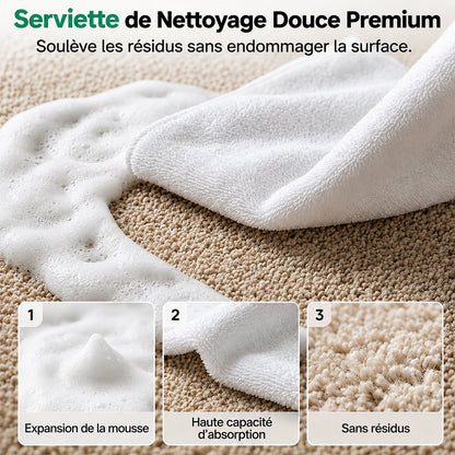 🔥−60 % AUJOURD’HUI💯 Mousse détachante sans eau pour tapis avec chiffon