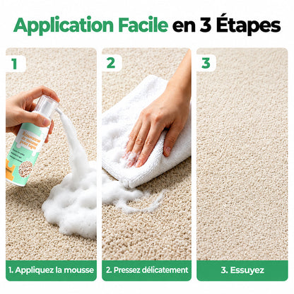 🔥−60 % AUJOURD’HUI💯 Mousse détachante sans eau pour tapis avec chiffon