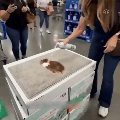 🔥−60 % AUJOURD’HUI💯 Mousse détachante sans eau pour tapis avec chiffon
